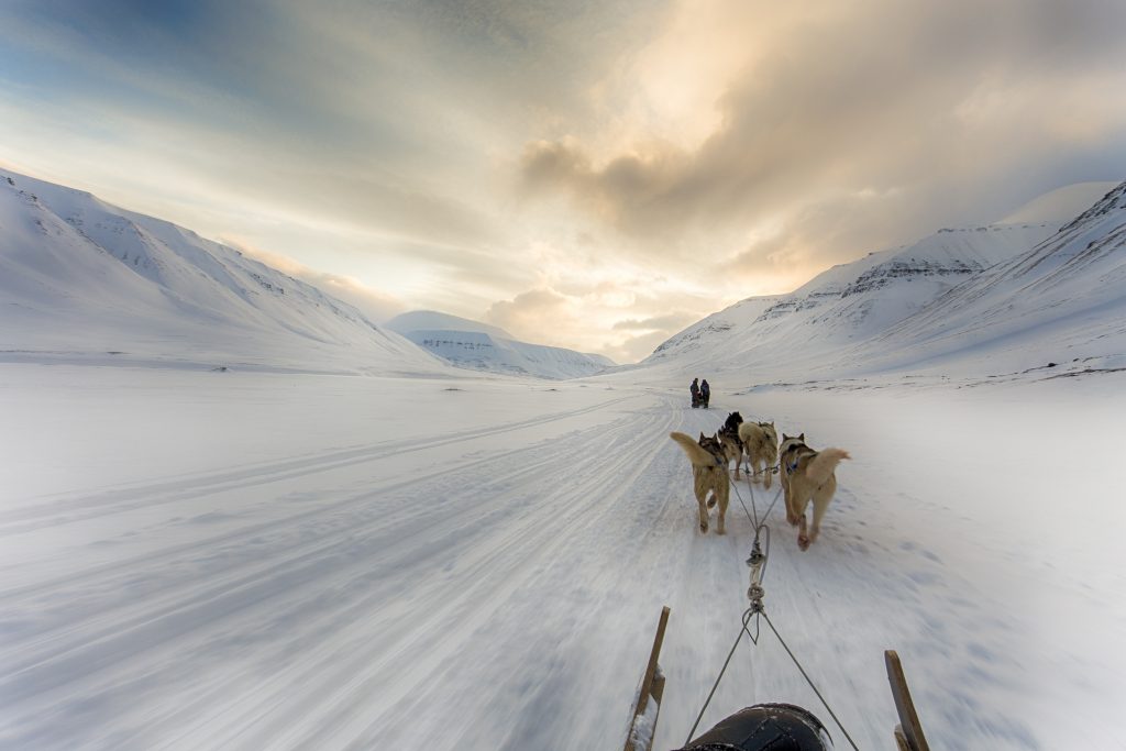 Foto: © Kjetil Valle, "Svalbard"
